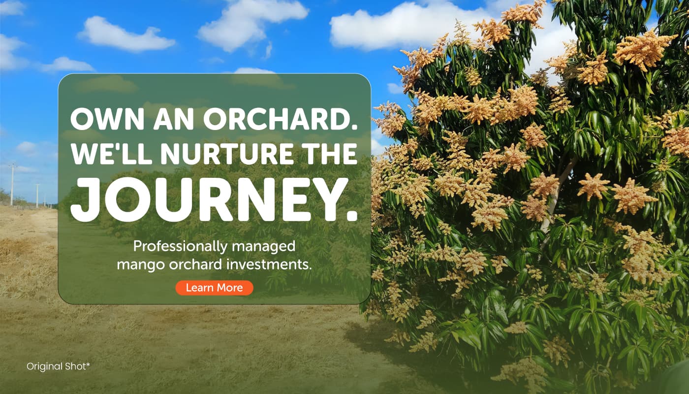 Turn your land into a legacy — commercial orchard development with premium plants and expert support.