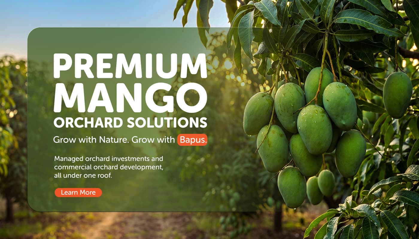 Premium Mango Orchard Solutions — grow with nature, grow with Bapus.