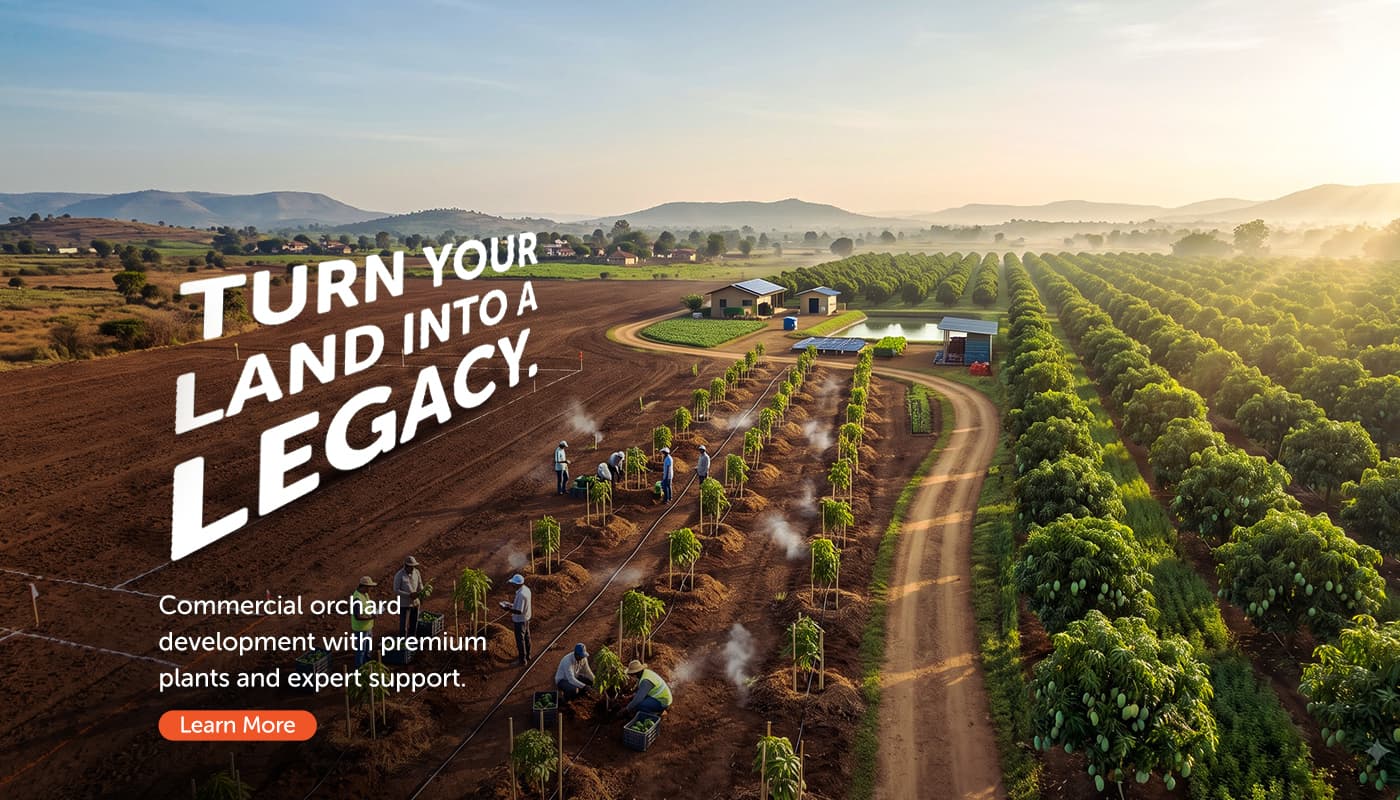 Turn your land into a legacy — commercial orchard development with premium plants and expert support.